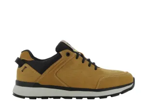 Steady Camel voorkant